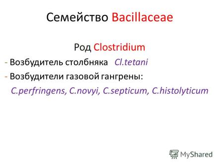 Семейство Bacillaceae Род Clostridium - Возбудитель столбняка Cl.tetani - Возбудители газовой гангрены: C.perfringens, C.novyi, C.septicum, C.histolyticum.