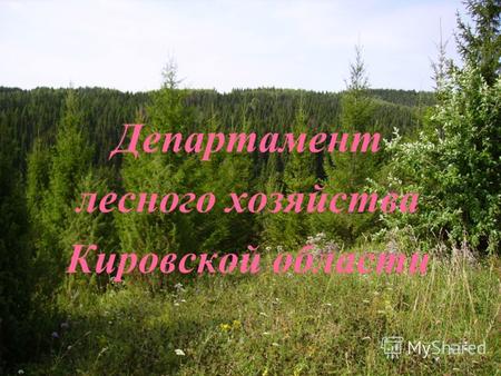 Департамент лесного хозяйства Кировской области. Кировская область – один из субъектов Российской Федерации, расположенный в северной части Приволжского.