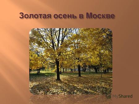 Осень в Москве Осенью очень красиво в Москве. Выйдя во двор можно увидеть желтые и алые листья. На земле лежат темные каштаны. Если ты подойдешь к дубу,
