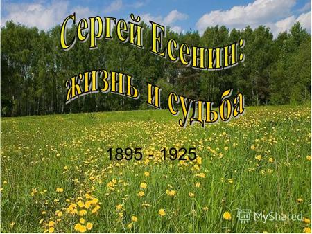 1895 - 1925. Сергей Есенин не столько человек сколько орган, созданный природой.