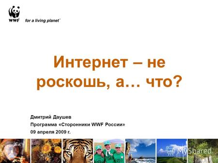Интернет – не роскошь, а… что? Дмитрий Даушев Программа «Сторонники WWF России» 09 апреля 2009 г.