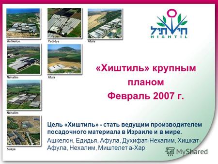 «Хиштиль» крупным планом Февраль 2007 г. Цель «Хиштиль» - стать ведущим производителем посадочного материала в Израиле и в мире. Ашкелон, Едидья, Афула,