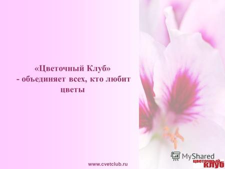 «Цветочный Клуб» - объединяет всех, кто любит цветы www.cvetclub.ru.