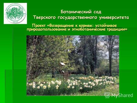 Ботанический сад Тверского государственного университета Проект «Возвращение к корням: устойчивое природопользование и этноботанические традиции»