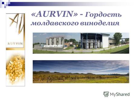 «AURVIN» - Гордость молдавского виноделия. География, климат, почвы. Республика Молдова небольшое государство с удачным географическим расположением на.