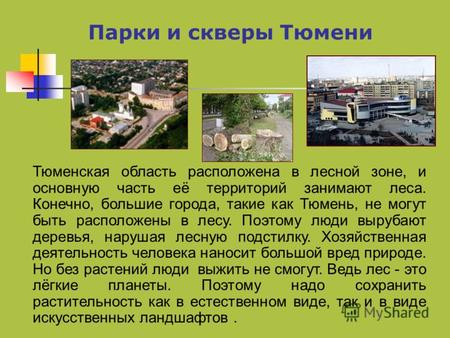 Парки и скверы Тюмени Тюменская область расположена в лесной зоне, и основную часть её территорий занимают леса. Конечно, большие города, такие как Тюмень,