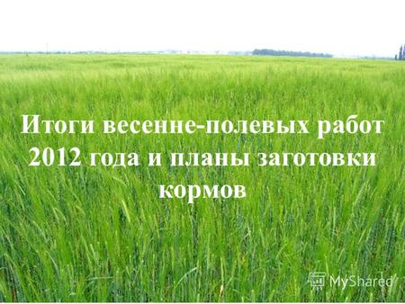 Итоги весенне-полевых работ 2012 года и планы заготовки кормов.