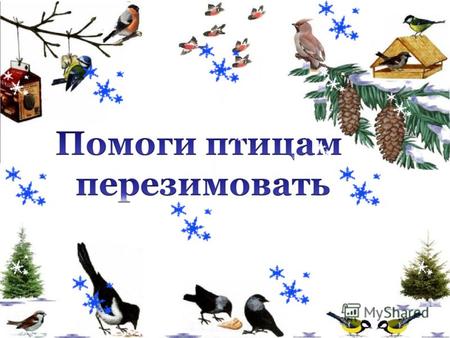 Зимующие птицы-те, которые зимой не улетают на юг.