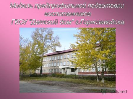 На 01.04.2010 года в детском доме г. Горнозаводска 51 человек, из них: 12 девочек, 39 мальчиков. Возрастной диапазон воспитанников: от 12 до 15 лет –