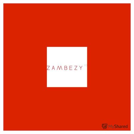 Об агентстве ZAMBEZY IDENTITY - компания людей, превративших любимое дело в бизнес. Мы – эксперты в области построения систем идентификации. Цель наших.