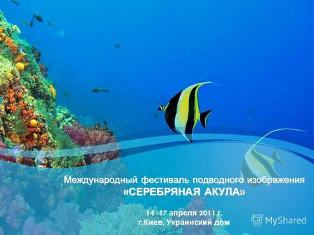 Международный фестиваль подводного изображения « СЕРЕБРЯНАЯ АКУЛА » Международный фестиваль подводного изображения « СЕРЕБРЯНАЯ АКУЛА » 14 -17 апреля 2011.