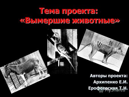 Тема проекта: «Вымершие животные» Авторы проекта: Архипенко Е.И. Ерофеевская Т.Н.