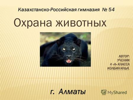 Охрана животных Казахстанско-Российская гимназия 54 г. Алматы.