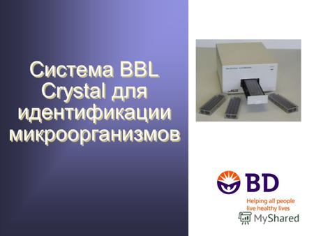 Система BBL Crystal для идентификации микроорганизмов.