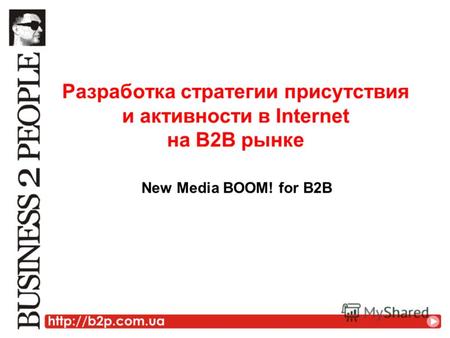 Разработка стратегии присутствия и активности в Internet на В2В рынке New Media BOOM! for B2B.