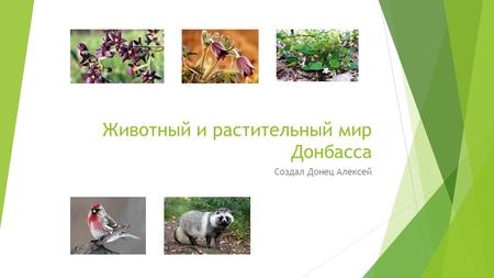 Животный и растительный мир Донбасса