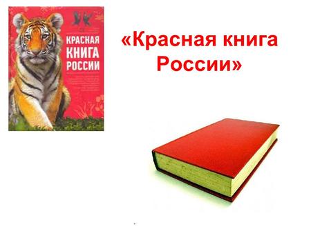 «Красная книга России».. Ученые мира в 1966 году создали Международный союз охраны природы, который стал изучать, каким растениям и животным надо помочь.