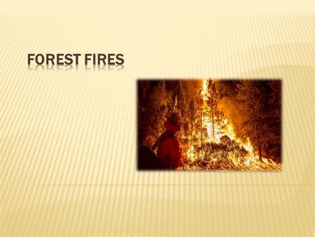 Forest fire a spontaneous, uncontrolled spread of fire for forest land. Causes of forest fires can be divided into natural and anthropogenic. The most.