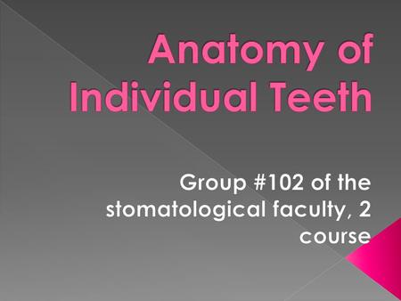 Tooth anatomy is a colloquial term sometimes used to refer to dental anatomy, the field of anatomy concerning the physical structure of teeth. That is.