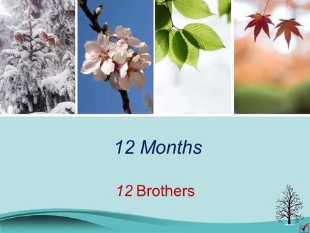 12 Months 12 Brothers. There are 12 months in a year. Do you know their names? January February March April May June July August September October November.
