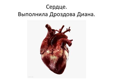 Сердце. Выполнила Дроздова Диана.Абакан.Школа 1.11Б. Человеческое сердце за один день прокачивает от до литров крови. Это за год составляет приблизительно.
