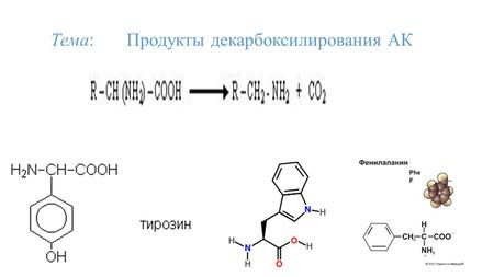 Тема: Продукты декарбоксилирования АК. 4 типа декарбоксилирования АК 1) α-Декарбоксилирование: 2) ω-Декарбоксилирование: 3) Декарбоксилирование, связанное.