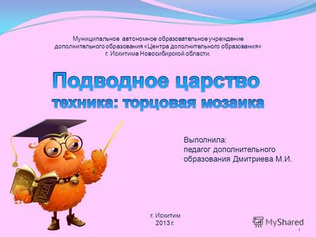 Муниципальное автономное образовательное учреждение дополнительного образования «Центра дополнительного образования» г. Искитима Новосибирской области.