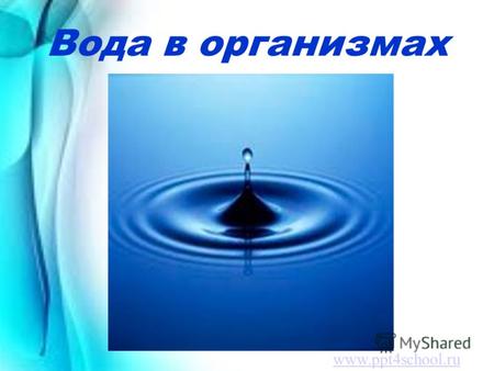 Вода в организмах www.ppt4school.ru. Воде была дана волшебная власть стать соком жизни на Земле. Нет воды – нет жизни, есть вода – есть жизнь (Леонардо.