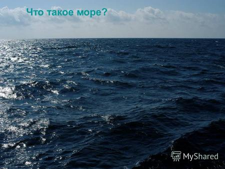Что такое море?. Черное море – живое! Морская Жизнь.