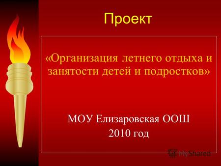 Проект «Организация летнего отдыха и занятости детей и подростков» МОУ Елизаровская ООШ 2010 год.