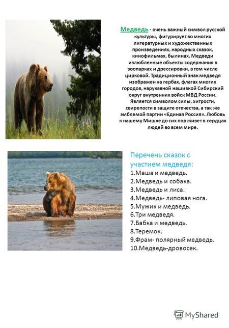Медведь - очень важный символ русской культуры, фигурирует во многих литературных и художественных произведениях, народных сказок, кинофильмах, былинах.
