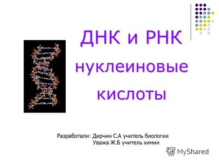 ДНК и РНК нуклеиновые кислоты Разработали: Дирчин С.А учитель биологии Уважа Ж.Б учитель химии.