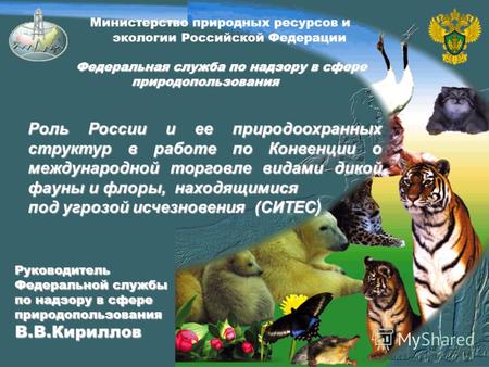 Министерство природных ресурсов и экологии Российской Федерации Федеральная служба по надзору в сфере природопользования Федеральная служба по надзору.