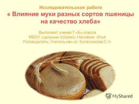 Исследовательская работа « Влияние муки разных сортов пшеницы на качество хлеба» Выполнил: ученик 7 «Б» класса МБОУ «Целинная СОШ2» Наливкин Илья Руководитель: