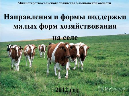 Направления и формы поддержки малых форм хозяйствования на селе Министерство сельского хозяйства Ульяновской области 2012 год.