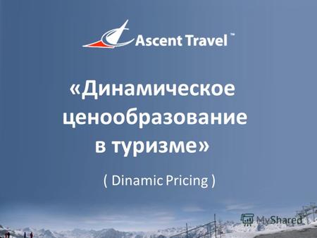«Динамическое ценообразование в туризме» ( Dinamic Pricing )