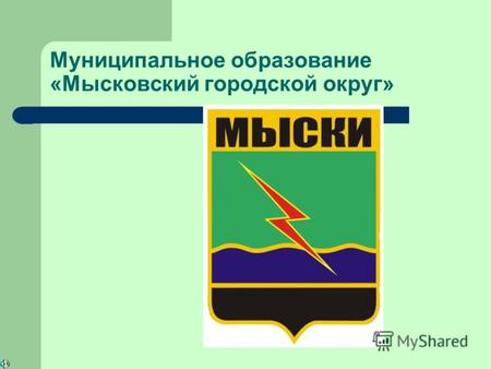 Муниципальное образование «Мысковский городской округ»