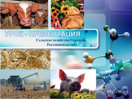 LOGO Сельское хозяйство Украины Сельское хозяйство отрасль материального производства, состоящая из растениеводства и животноводства, обеспечивающая.