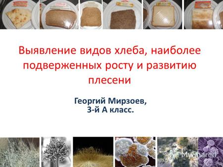 Выявление видов хлеба, наиболее подверженных росту и развитию плесени Георгий Мирзоев, 3-й А класс.