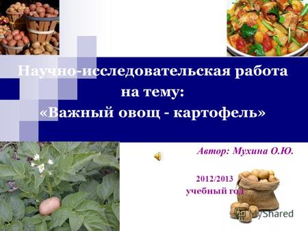 Научно-исследовательская работа на тему: «Важный овощ - картофель» Автор: Мухина О.Ю. 2012/2013 учебный год.