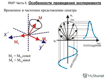 1 ЯМР. Часть 5. Особенности проведения эксперимента Временное и частотное представление спектра M y = M xy cosωt M x = M xy sinωt ω ω.