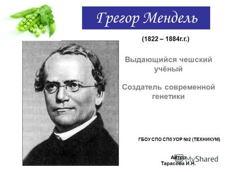 Грегор Мендель (1822 – 1884г.г.) Выдающийся чешский учёный Создатель современной генетики ГБОУ СПО СПб УОР 2 (ТЕХНИКУМ ) Автор Тарасова И.Н.