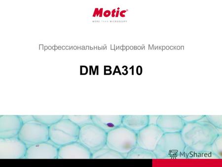 DM BA310 Профессиональный Цифровой Микроскоп. DM BA310 Цифровые микроскопы.