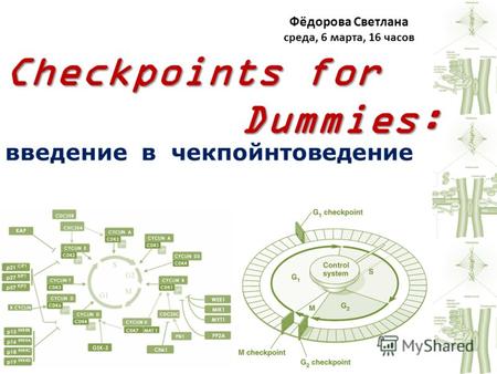 Введение в чекпойнтоведение Checkpoints for Dummies: Dummies: Фёдорова Светлана среда, 6 марта, 16 часов.