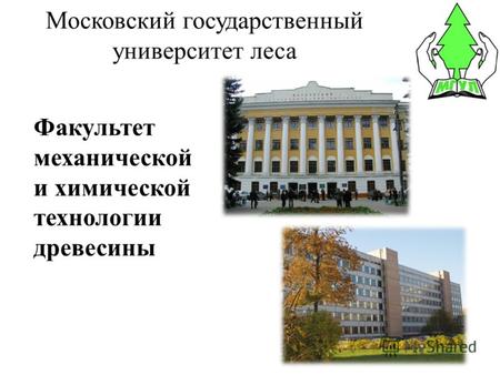 Московский государственный университет леса Факультет механической и химической технологии древесины.