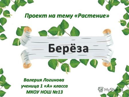 Берёза Проект на тему «Растение» Валерия Логинова ученица 1 «А» класса МКОУ НОШ 13.