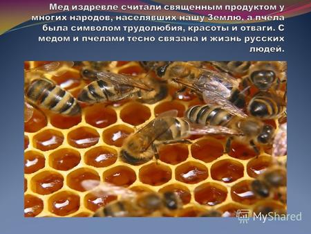 Мёд - это продукт, создаваемый пчелами в результате процесса пищеварения, при котором цветочный нектар подвергается ферментации с испарением излишков.