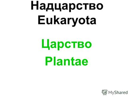 Надцарство Eukaryota Царство Plantae. Отдел Rhodophyta Красные водоросли.