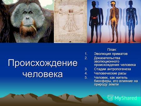 Происхождение человека План: 1.Эволюция приматов 2.Доказательства эволюционного происхождения человека 3.Стадии антропогенеза 4.Человеческие расы 5.Человек,