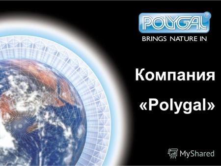 Компания «Polygal». Компания «Полигаль» Основана в 1973 году Специализируется на разработке, производстве, маркетинге полимерных плит и систем их соединения.